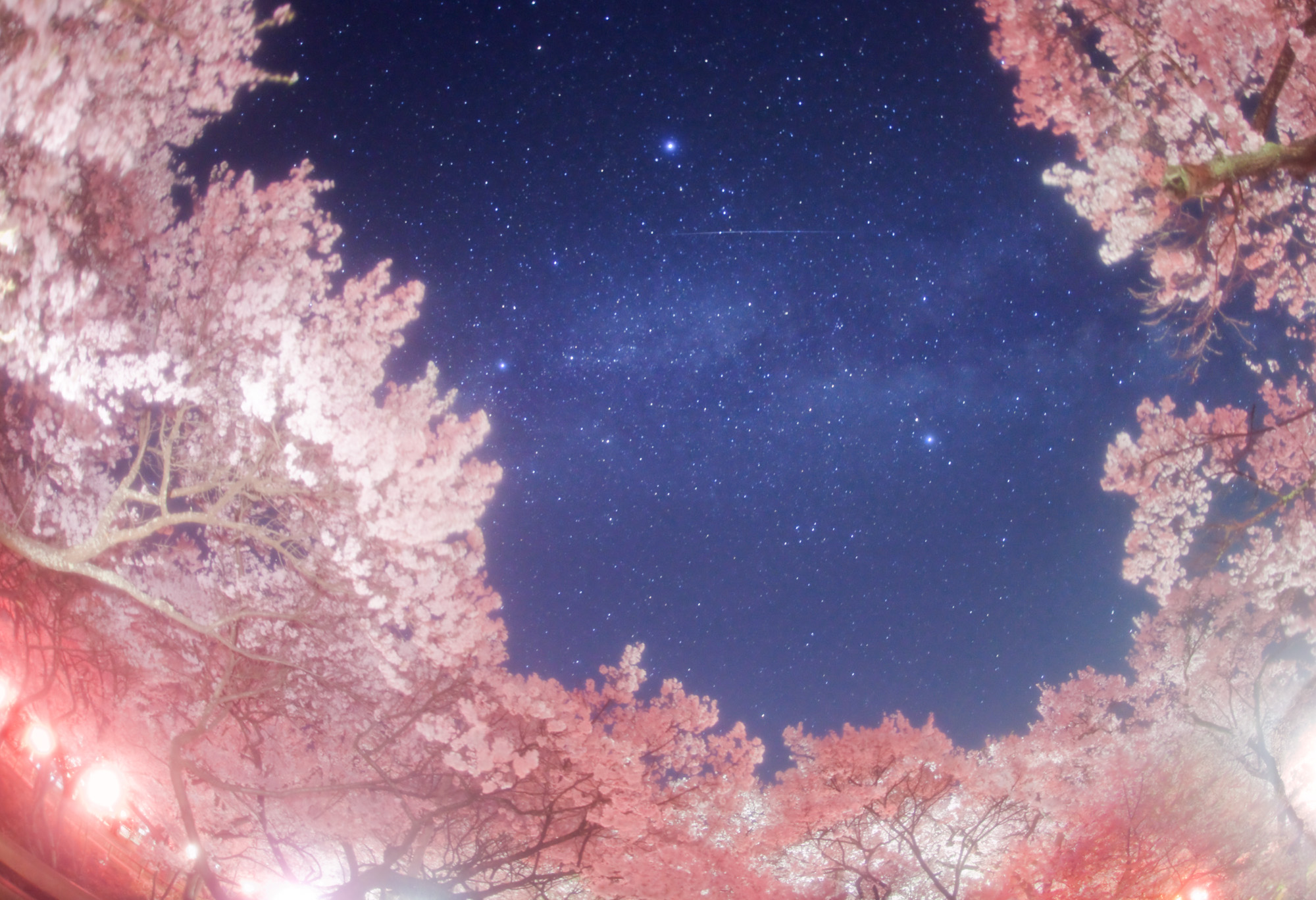 陷黑